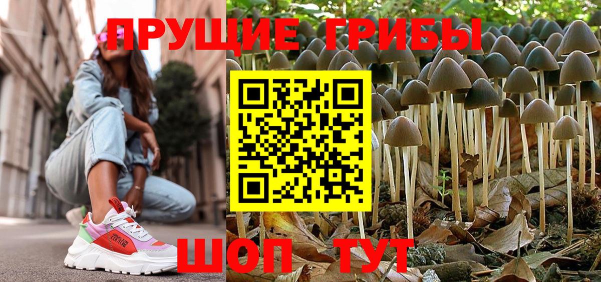 Галлюциногенные грибы мухоморы Чехов