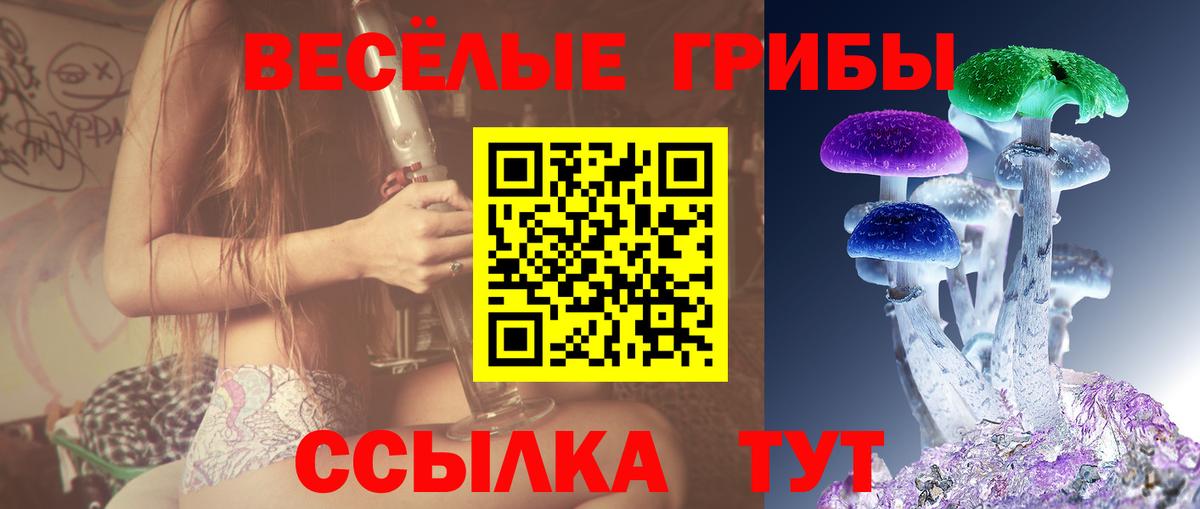 Галлюциногенные грибы Psilocybine cubensis  Вход с VPN  купить наркотик  Чехов 